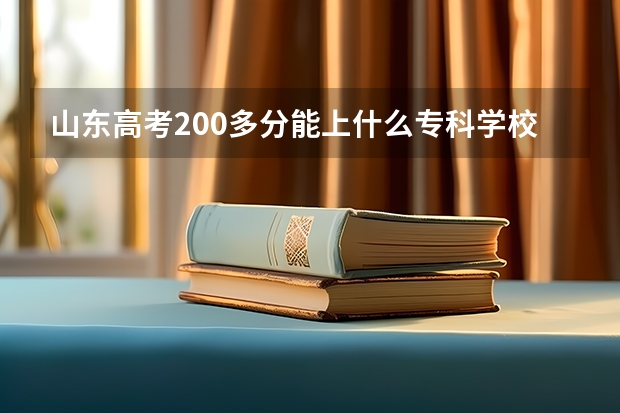 山东高考200多分能上什么专科学校