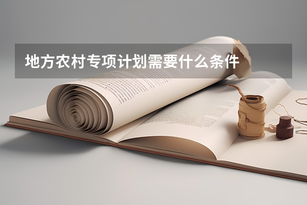 地方农村专项计划需要什么条件