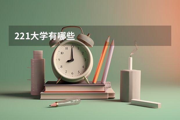 221大学有哪些