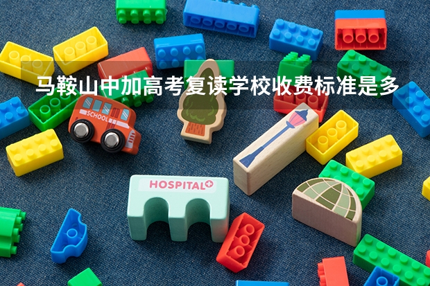 马鞍山中加高考复读学校收费标准是多少?