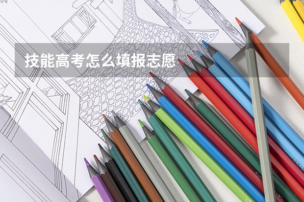 技能高考怎么填报志愿