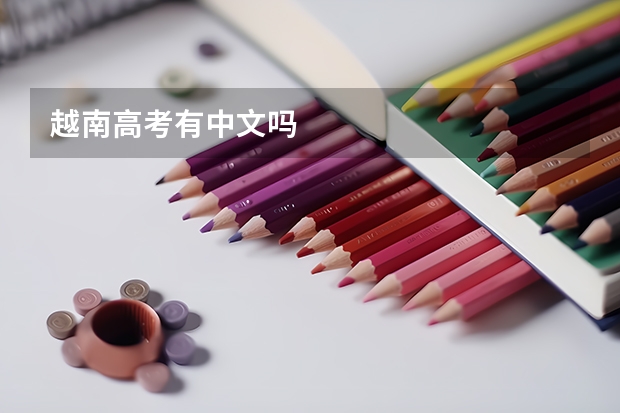越南高考有中文吗