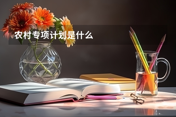 农村专项计划是什么