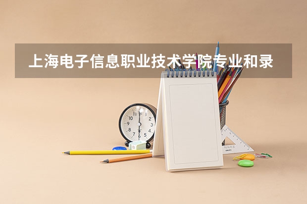  上海电子信息职业技术学院专业和录取分数线是多少