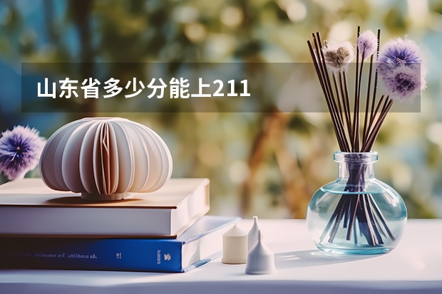 山东省多少分能上211