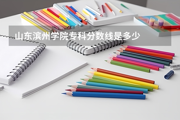 山东滨州学院专科分数线是多少