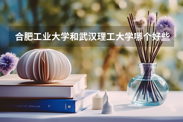 合肥工业大学和武汉理工大学哪个好些?