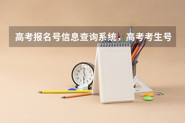 高考报名号信息查询系统，高考考生号怎么查询