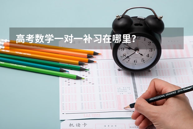 高考数学一对一补习在哪里?