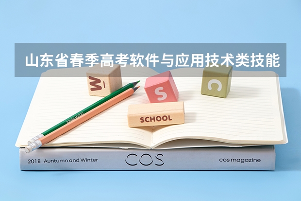 山东省春季高考软件与应用技术类技能测试在线考试系统为什么登不上