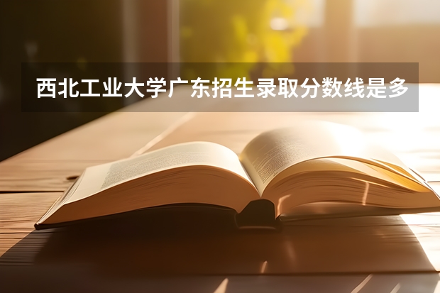 西北工业大学广东招生录取分数线是多少