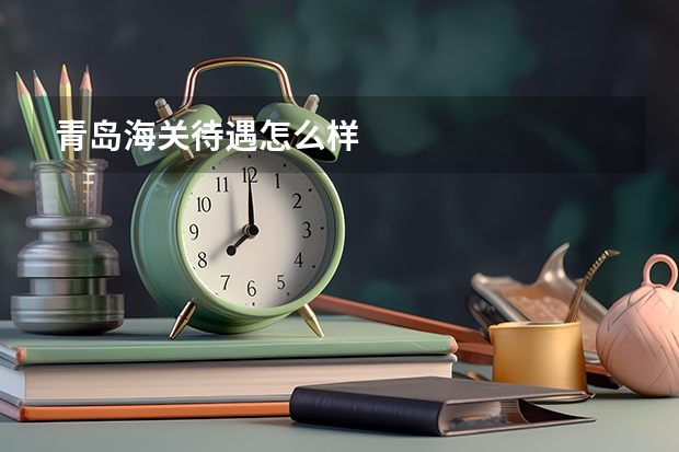 青岛海关待遇怎么样