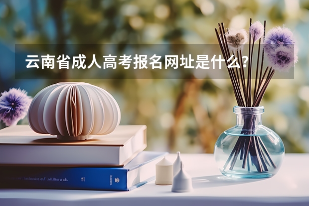 云南省成人高考报名网址是什么?