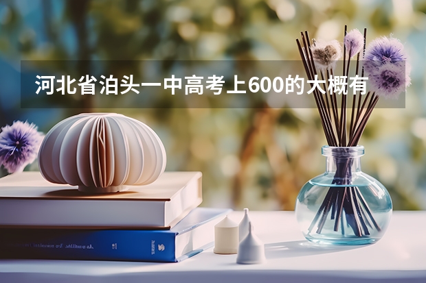 河北省泊头一中高考上600的大概有多少人?
