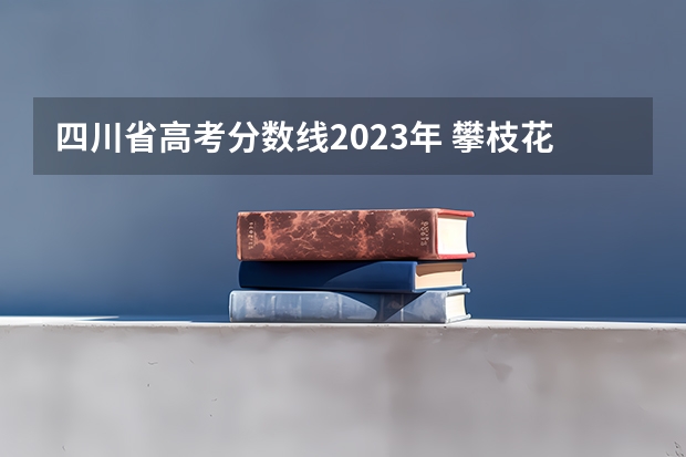 四川省高考分数线2023年 攀枝花学院招生简章