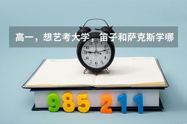 高一,想艺考大学,笛子和萨克斯学哪个好?除了这两个还有哪些好学?艺考成了之后能不学艺术转别的吗?