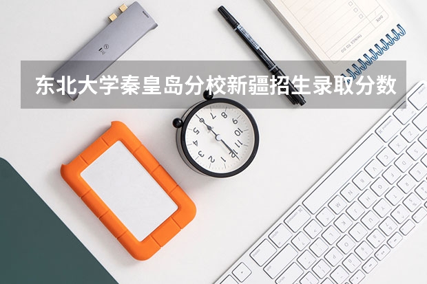 东北大学秦皇岛分校新疆招生录取分数线是多少