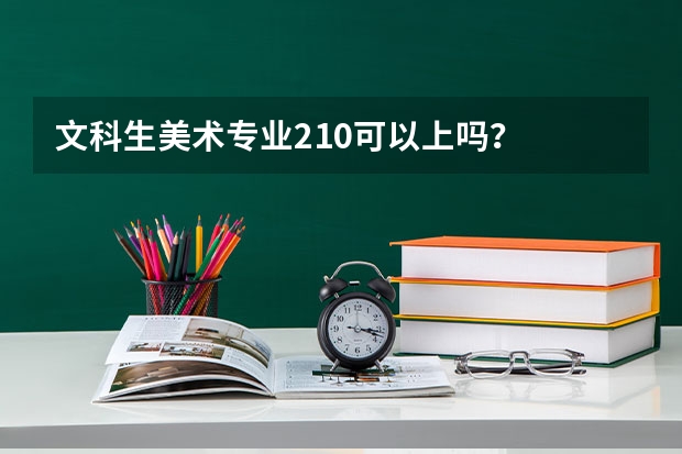 文科生美术专业210可以上吗?