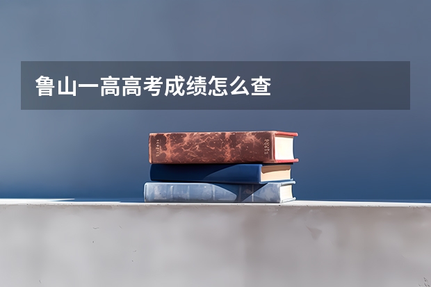 鲁山一高高考成绩怎么查