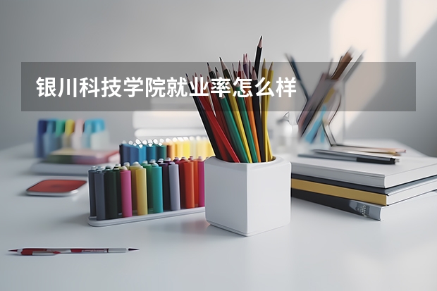 银川科技学院就业率怎么样