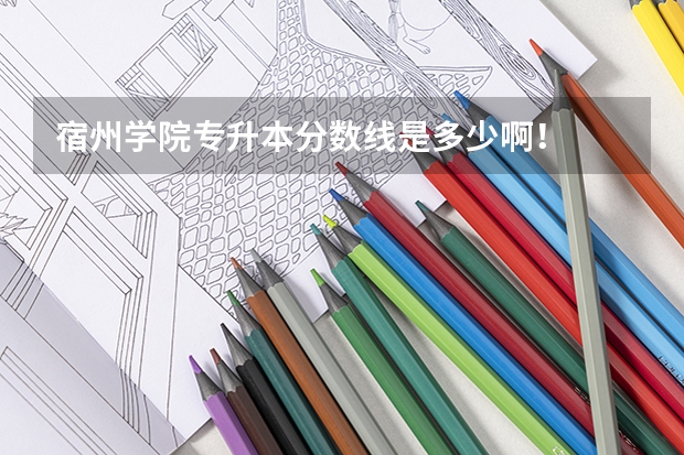 宿州学院专升本分数线是多少啊！