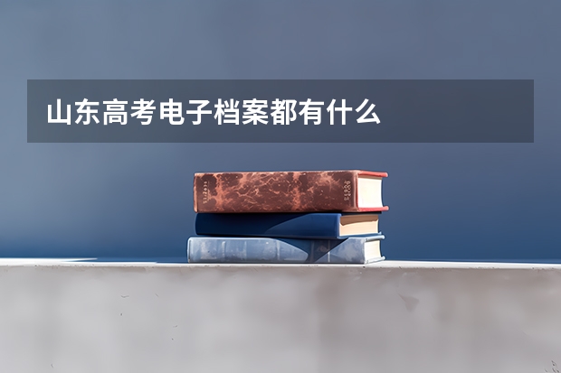 山东高考电子档案都有什么