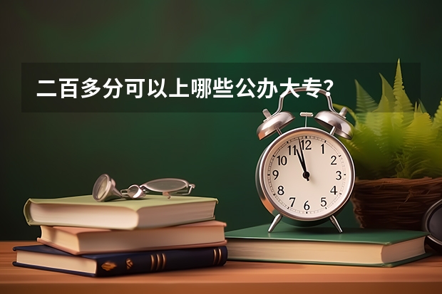 二百多分可以上哪些公办大专?
