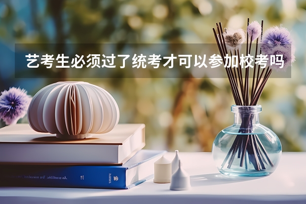 艺考生必须过了统考才可以参加校考吗?