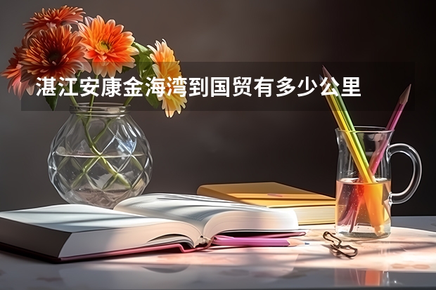 湛江安康金海湾到国贸有多少公里
