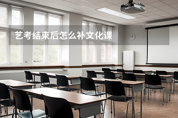 艺考结束后怎么补文化课