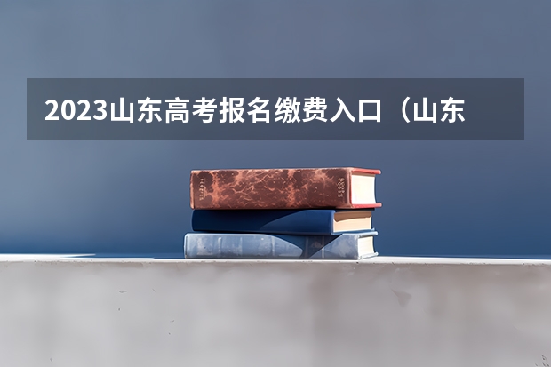2023山东高考报名缴费入口（山东夏季高考报名时间）