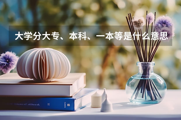 大学分大专、本科、一本等是什么意思 要详细一点