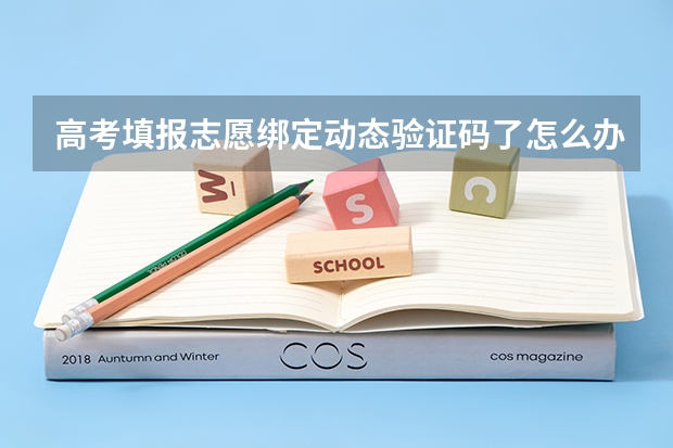 高考填报志愿绑定动态验证码了怎么办