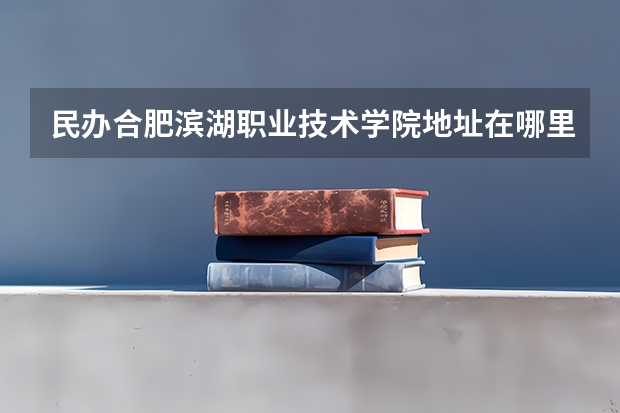 民办合肥滨湖职业技术学院地址在哪里
