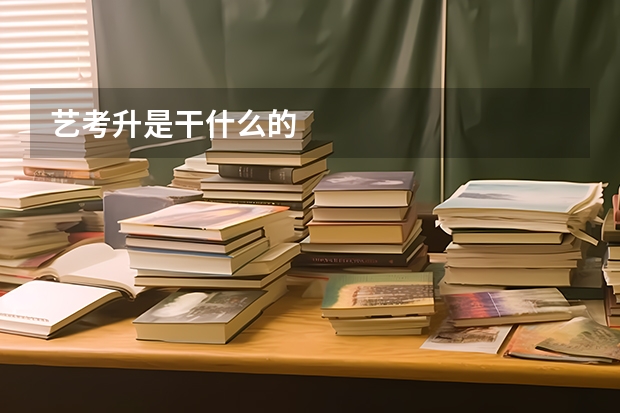 艺考升是干什么的