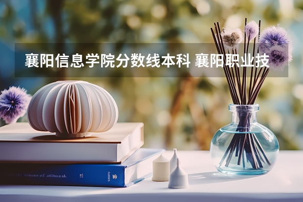 襄阳信息学院分数线本科 襄阳职业技术学院能否升本科学历