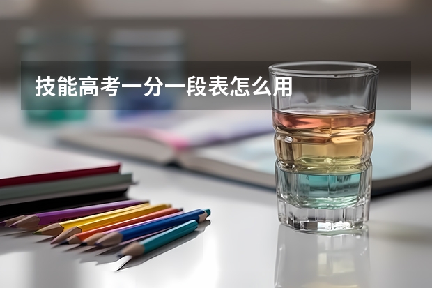技能高考一分一段表怎么用