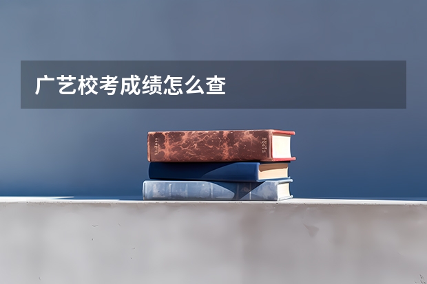 广艺校考成绩怎么查
