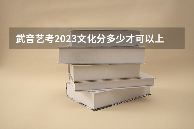 武音艺考2023文化分多少才可以上
