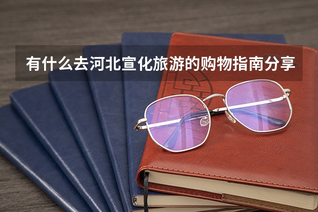 有什么去河北宣化旅游的购物指南分享？