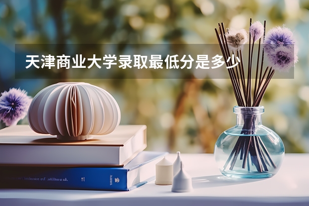 天津商业大学录取最低分是多少