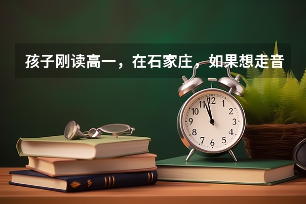 孩子刚读高一,在石家庄,如果想走音乐艺考这条路,有什么好的方法么?