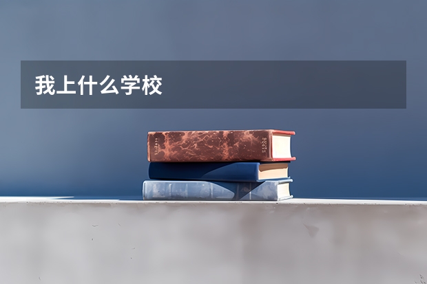 我上什么学校