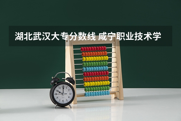 湖北武汉大专分数线 咸宁职业技术学院分数线