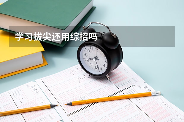 学习拔尖还用综招吗