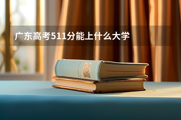 广东高考511分能上什么大学