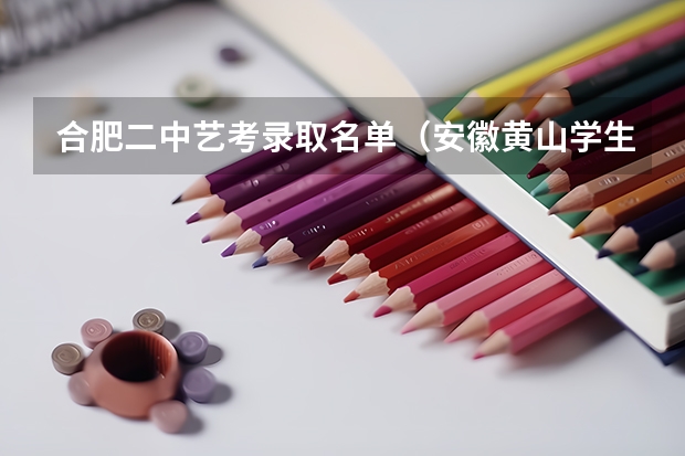 合肥二中艺考录取名单(安徽黄山学生一枚,听说合肥有个海豚艺考不错,想了解一下?)