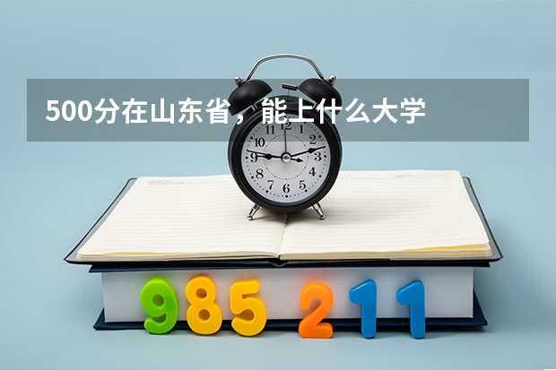 500分在山东省，能上什么大学