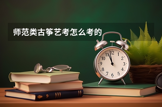 师范类古筝艺考怎么考的