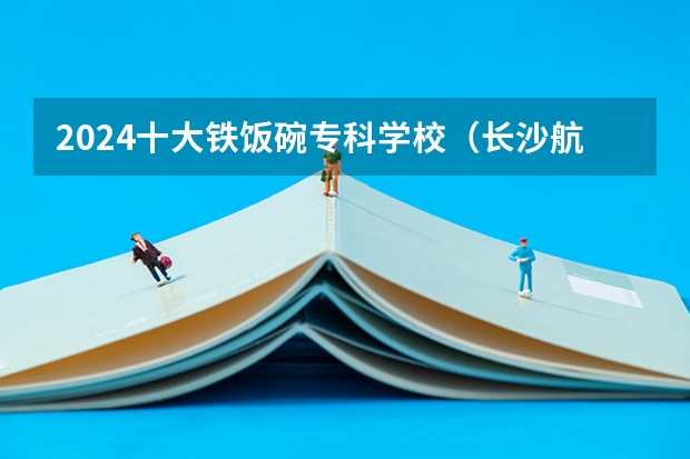 2024十大铁饭碗专科学校（长沙航空职业技术学院录取分数线）